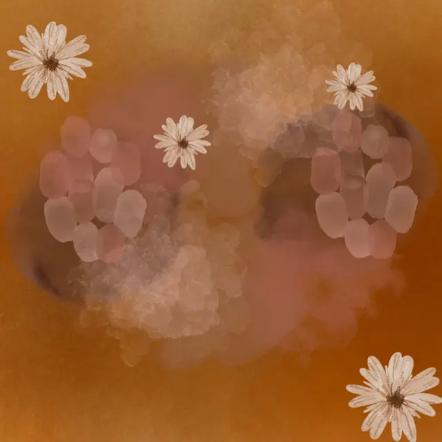 Image hover effect image